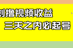 （7855期）最新撸视频收益玩法，一天轻松200+[中创网]