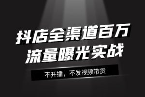 （7863期）抖店-全渠道百万流量曝光实战，不开播，不发视频带货（16节课）[中创网]