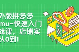 （7876期）海外版拼多多Temu-快速入门实战课，店铺实战从0到1（12节课）[中创网]