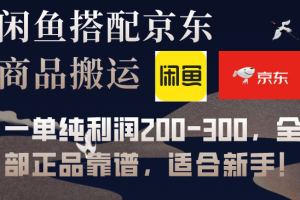 （7892期）闲鱼搭配京东备份库搬运，一单纯利润200-300，全部正品靠谱，适合新手！[中创网]