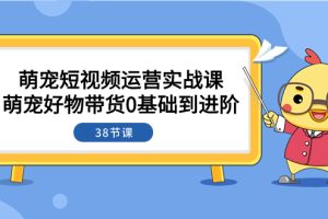 （7915期）萌宠·短视频运营实战课：萌宠好物带货0基础到进阶（38节课）[中创网]