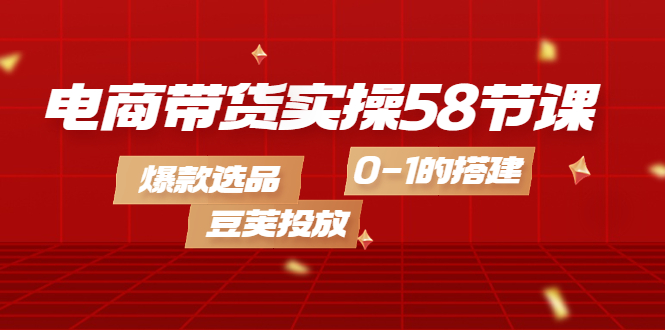 （4024期）电商带货实操58节课，爆款选品，豆荚投放，0-1的搭建