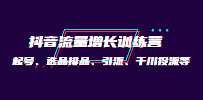 （4022期）月销1.6亿实操团队·抖音流量增长训练营：起号、选品排品、引流 千川投流等