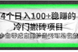 （4041期）4个稳赚的冷门搬砖项目，每个项目日入100+小白零成本照抄当天可见收益[中创网]