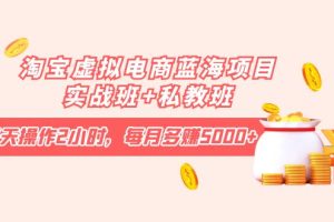 （4056期）淘宝虚拟电商蓝海项目实战班+私教班：每天操作2小时，每月多赚5000+[中创网]