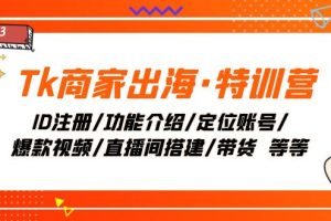 （7974期）Tk商家出海·特训营：ID注册/功能介绍/定位账号/爆款视频/直播间搭建/带货.[中创网]