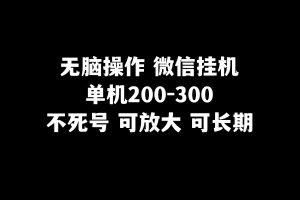 （8119期）无脑操作微信挂机单机200-300一天，不死号，可放大[中创网]