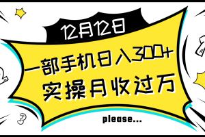 （8073期）一部手机日入300+，实操轻松月入过万，新手秒懂上手无难点[中创网]