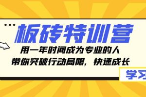 （8048期）板砖特训营，用一年时间成为专业的人，带你突破行动局限，快速成长[中创网]