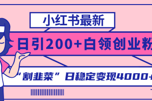 （8052期）小红书最新日引200+创业粉”割韭菜“日稳定变现4000+实操教程！[中创网]