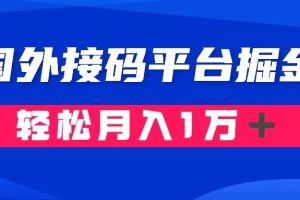 （8058期）通过国外接码平台掘金卖账号： 单号成本1.3，利润10＋，轻松月入1万＋[中创网]