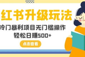 （8014期）小红书升级玩法，冷门暴利项目无门槛操作，轻松日赚500+[中创网]