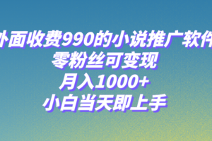 （8016期）小说推广软件，零粉丝可变现，月入1000+，小白当天即上手【附189G素材】[中创网]