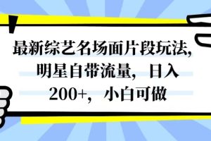 （8114期）最新综艺名场面片段玩法，明星自带流量，日入200+，小白可做[中创网]