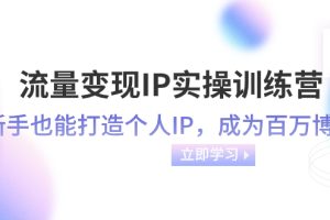 （8134期）流量变现-IP实操训练营：新手也能打造个人IP，成为百万 博主（46节课）[中创网]