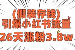 （8217期）假装存钱，引爆小红书流量， 26天涨粉3.8w，作品制作简单，多种变现方式[中创网]