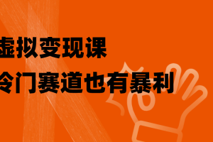 （8219期）虚拟变现课，冷门赛道也有暴利，手把手教你玩转冷门私域[中创网]