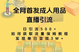 （8193期）最新全网独创首发，成人用品直播引流获客暴力玩法，单日变现3w保姆级教程[中创网]