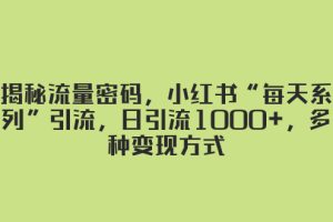 （8179期）揭秘流量密码，小红书“每天系列”引流，日引流1000+，多种变现方式[中创网]