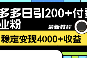 （8276期）拼多多日引200+付费创业粉，日稳定变现4000+收益最新教程[中创网]