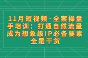 （8182期）11月短视频·全案操盘手培训：打通自然流量 成为想象级IP必备要素 全是干货[中创网]