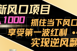 （8521期）最新风口项目，日入过千，抓住当下风口，享受第一波红利，实现逆风翻盘[中创网]