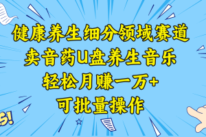 （8503期）健康养生细分领域赛道，卖音药U盘养生音乐，轻松月赚一万+，可批量操作[中创网]