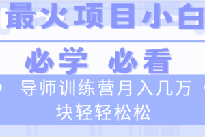 （8569期）导师训练营互联网最牛逼的项目没有之一，新手小白必学，月入2万+轻轻松松[中创网]