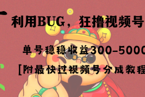 （8549期）全网独家首发，视频号BUG，超短期项目，单号每日净收益300-5000！[中创网]