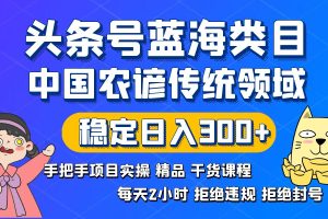 （8595期）头条号蓝海类目传统和农谚领域实操精品课程拒绝违规封号稳定日入300+[中创网]