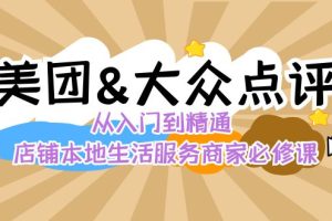 （8804期）美团+大众点评 从入门到精通：店铺本地生活 流量提升 店铺运营 推广秘术…[中创网]