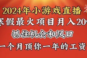 （8778期）2024年寒假爆火项目，小游戏直播月入20w+，学会了之后你将翻身[中创网]