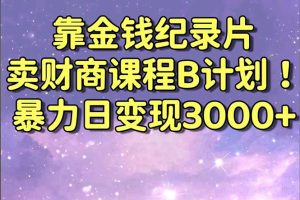 （8944期）靠金钱纪录片卖财商课程B计划！暴力日变现3000+，喂饭式干货教程！[中创网]