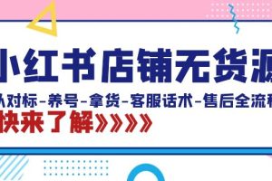 （8897期）小红书店铺无货源：从对标-养号-拿货-客服话术-售后全流程（20节课）[中创网]