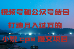 （9059期）视频号和公众号结合打造月入过万的小说cps推文项目[中创网]