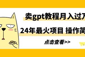 （9180期）24年最火项目，卖gpt教程月入过万，操作简单[中创网]