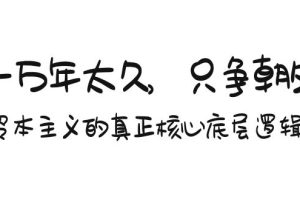 （9171期）某付费文章《一万年太久，只争朝夕：资本主义的真正核心底层逻辑》[中创网]