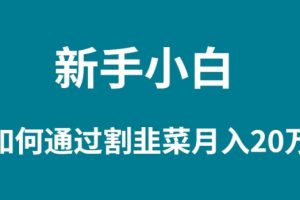 （9308期）新手小白如何通过割韭菜月入 20W[中创网]