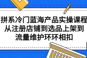 （9527期）拼系冷门蓝海产品实操课程，从注册店铺到选品上架到流量维护环环相扣[中创网]