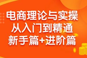 （9576期）电商理论与实操从入门到精通 新手篇+进阶篇[中创网]