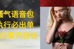 （9589期）执行就出单，日入2000+，超火骚气语音包，小白看完课程就能马上实操[中创网]