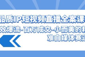 （9591期）高品质 IP短视频直播-全案课程，有效爆流-百万成交-小而美的精准自媒体赛道[中创网]