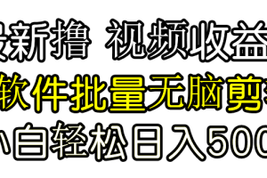 （9569期）发视频撸收益，软件无脑批量剪辑，第一天发第二天就有钱[中创网]