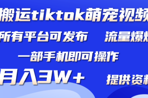 （9618期）搬运Tiktok萌宠类视频，一部手机即可。所有短视频平台均可操作，月入3W+[中创网]