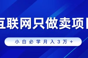 （9623期）互联网的尽头就是卖项目，被割过韭菜的兄弟们必看！轻松月入三万以上！[中创网]