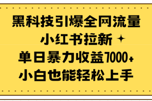 （9679期）黑科技引爆全网流量小红书拉新，单日暴力收益7000+，小白也能轻松上手[中创网]