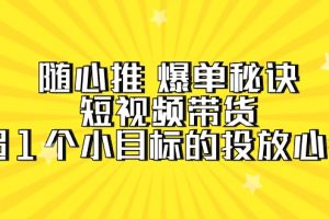 （9687期）随心推 爆单秘诀，短视频带货-超1个小目标的投放心得（7节视频课）[中创网]