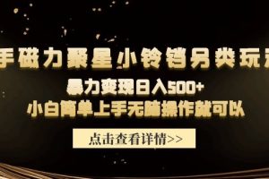 （9689期）快手磁力聚星小铃铛另类玩法，暴力变现日入500+小白简单上手无脑操作就可以[中创网]