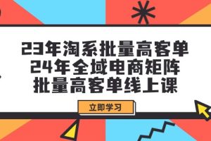 （9636期）23年淘系批量高客单+24年全域电商矩阵，批量高客单线上课（109节课）[中创网]