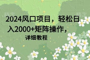 （9652期）2024风口项目，轻松日入2000+矩阵操作，详细教程[中创网]